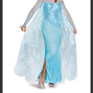 Disney Frozen Elsa Halloween Costume